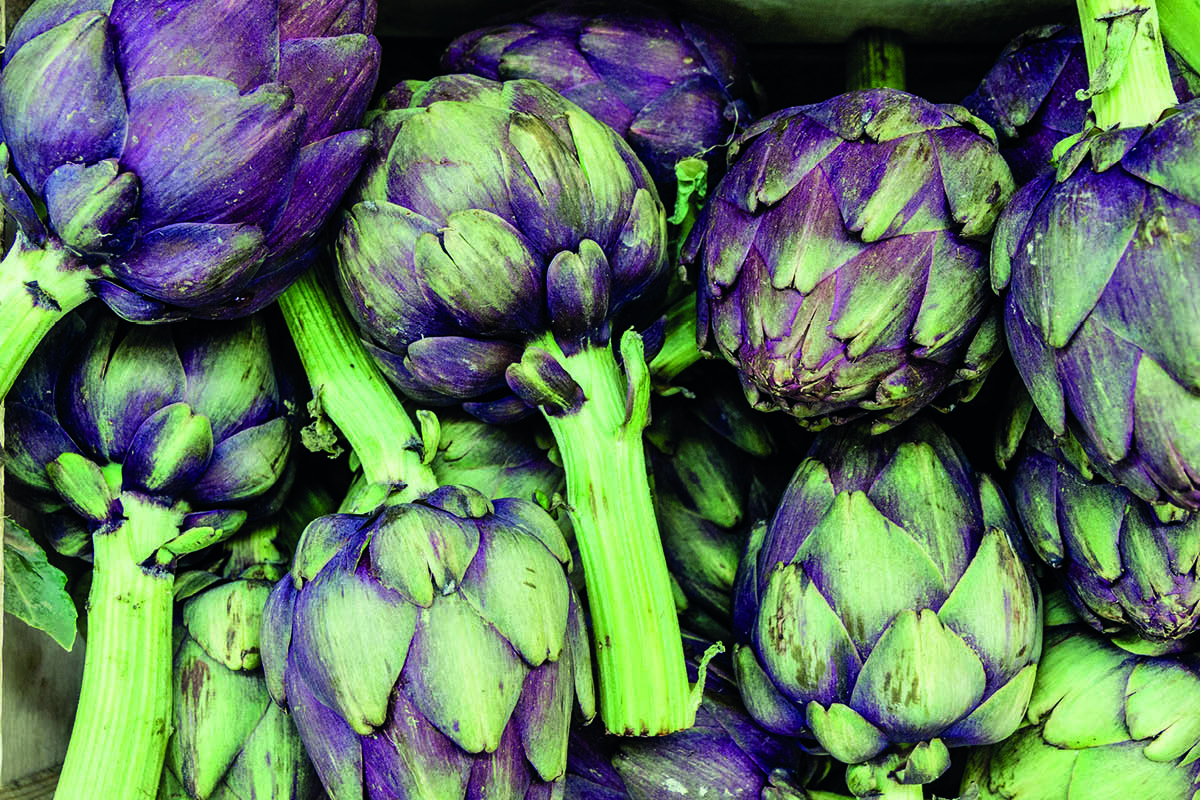 farmers' markets, farmers markets, farmers markets in surrey blog, markets this month, food markets this month, guildford, milford, haslemere, camberley, cobham, ripley, esher, artisan food, local produce, preserves, cheese, food, drink, market, where to go, june 2023, artichoke, fruit, vegetables, baked goods, bakery, cakes, breads, guide to famers markets, guide to food and drink, guide to food markets, surrey, guide to whats on