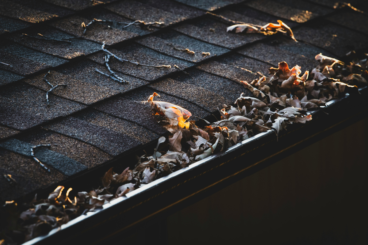 gutters, guttering clean gutters, home maintenance tasks, november, house and garden, home and garden, property, home and property, home and living, property and lifestyle, homeowner, property owner, property maintenance tips, cleaning your roof, move to surrey, move to residential, move to london, move to west sussex, move to berkshire, residential advice, property advice, guildford, woking, elmbridge, twickenham, richmond, ealing, acton, guide to surrey, move to surrey, move to publications, move to residential publications, surrey, south west london, south downs, berkshire, ascot, sunninghill, DIY, home hacks, home improvements, renovate, home renovation, visit surrey,