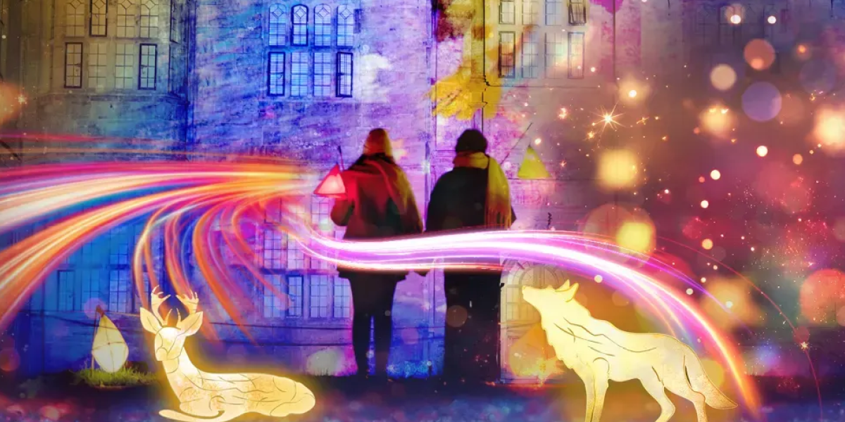 glow weghiurst, lght trail nature, christkmas, december 2025, whats oin, guide to whats on, guide to surrey,