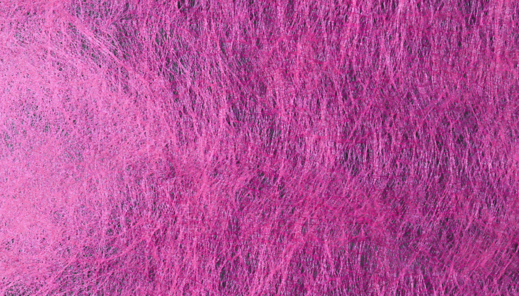 wellbeing in surrey, wellbeing events, guide to surrey, guide to whats on, self care, forest bathing, silent space, yoga, mediatation, visit surrey, surrey hills,