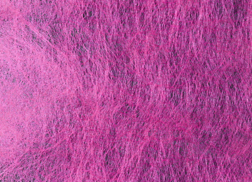 wellbeing in surrey, wellbeing events, guide to surrey, guide to whats on, self care, forest bathing, silent space, yoga, mediatation, visit surrey, surrey hills,