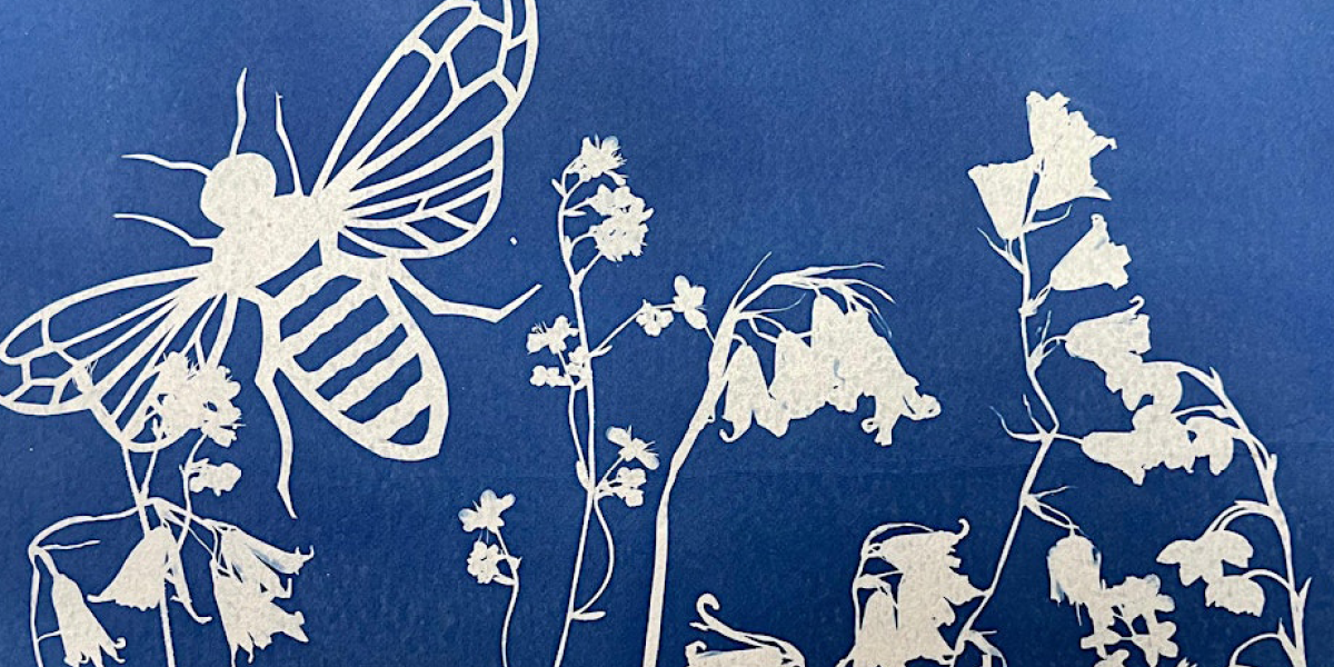 shadow craft, farnham maltings, art workshop, surrey, january 2026, things to do this week, things to do in surrey this month, 