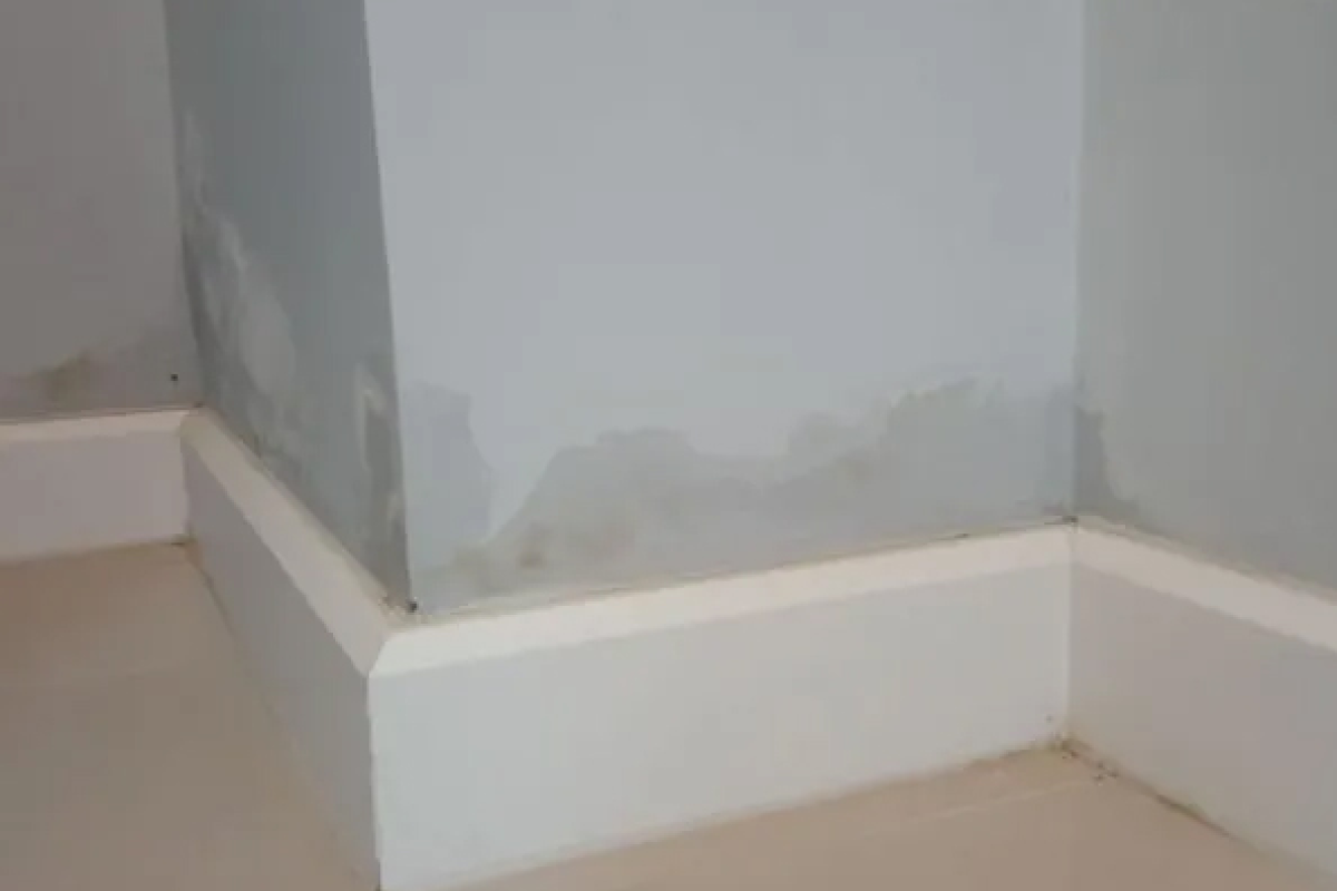 the damp specialist, home and garden, house and garden, residential damp, surrey, london, guide to house and garden, move to surrey, move to london, move to sussex, home and property, surveying, consulting, home survey, damp survey, damp consulting,