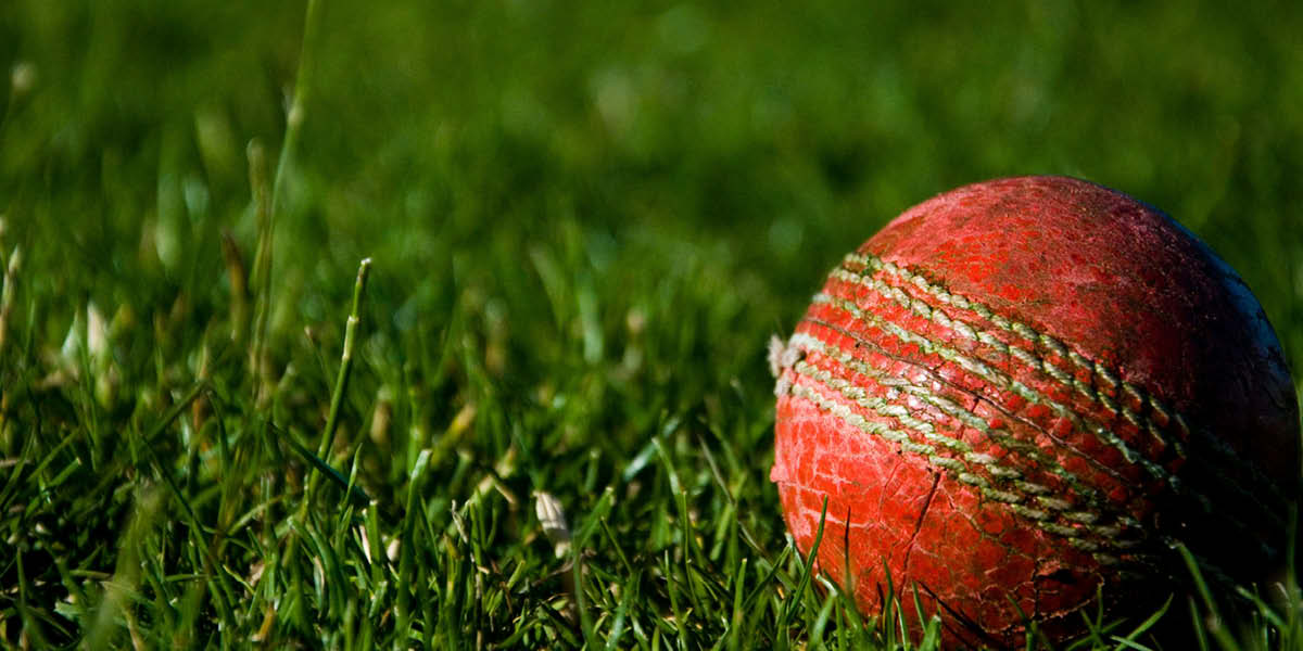 guildford cricket festival, surrey cricket, guildford pavilion, sports events in surrey, sports fixtures in surrey,