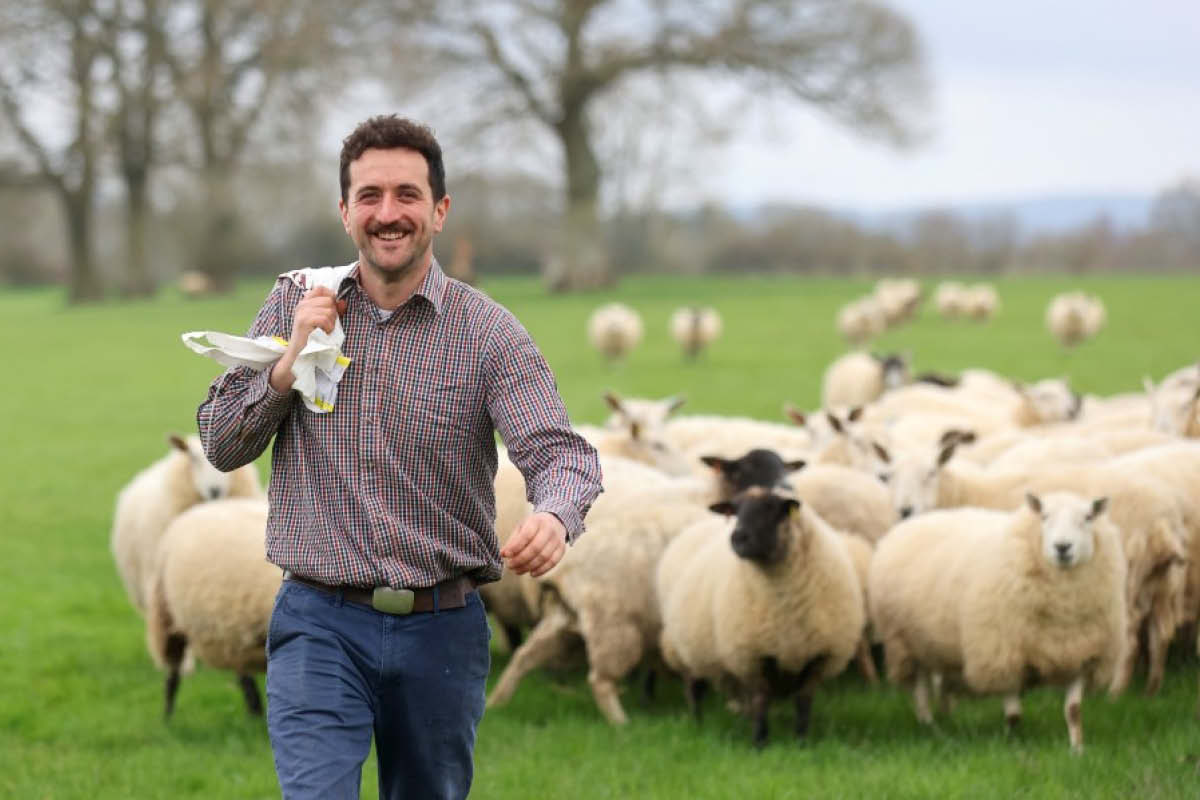 ALEX CUTTING, sheep farmer, surrey, surrey sheep farmer, surrey farmer; farming news, surrey news, visit Surrey, whats on in surrey, funding for farmers, farmer grant,