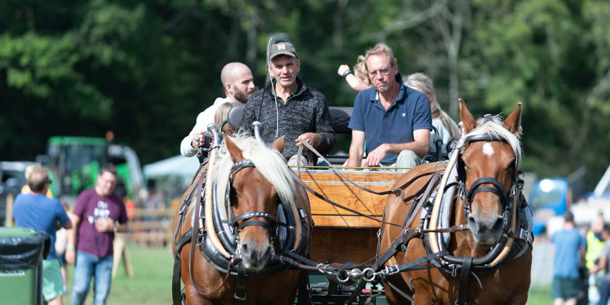 surrey hills wood fair, surrey hills enterprises, cranleigh, whats on in surrey, guide to surrey, september 2026, 