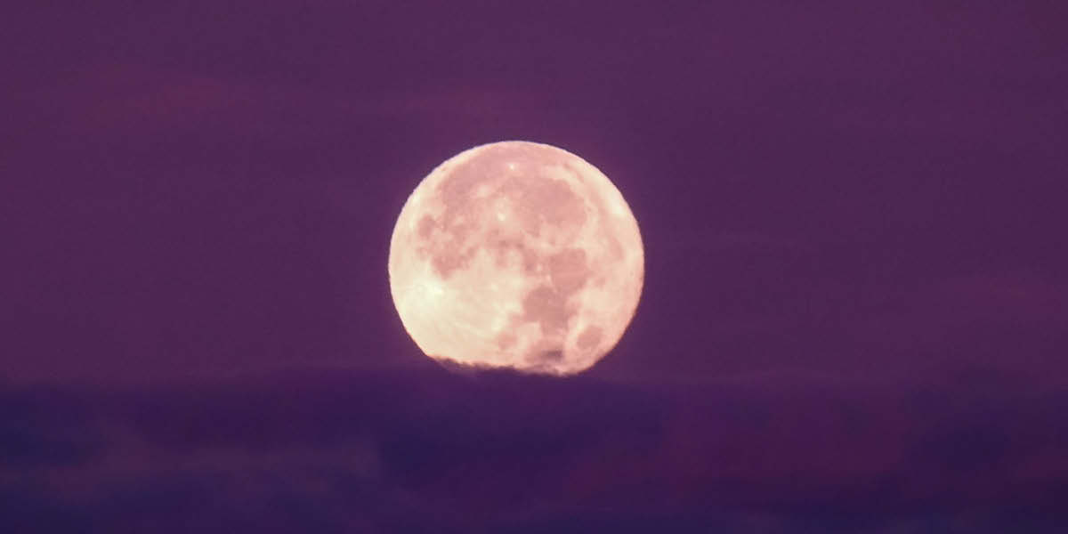 moonlight swimming, guildford lido, surrey, september 2026, whats on, guide to whats on, 