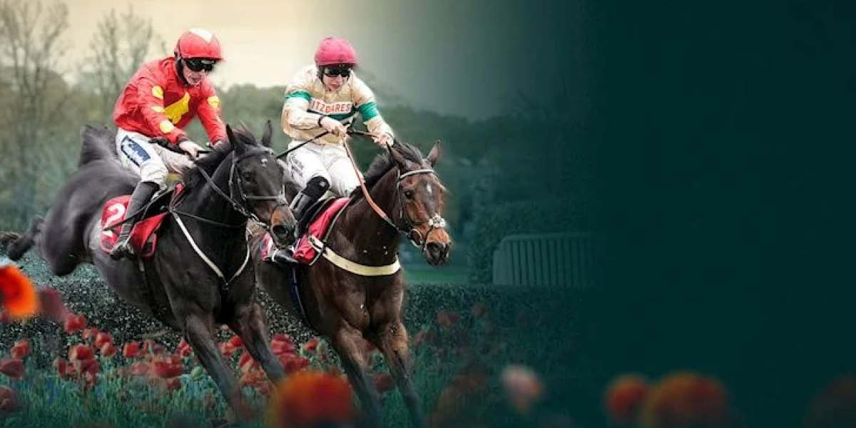 jump season, sandown park racecourse, esher, the jockey club, november 2026, sports, the sportsw locker, sports in surrey, horseracing in surrey,