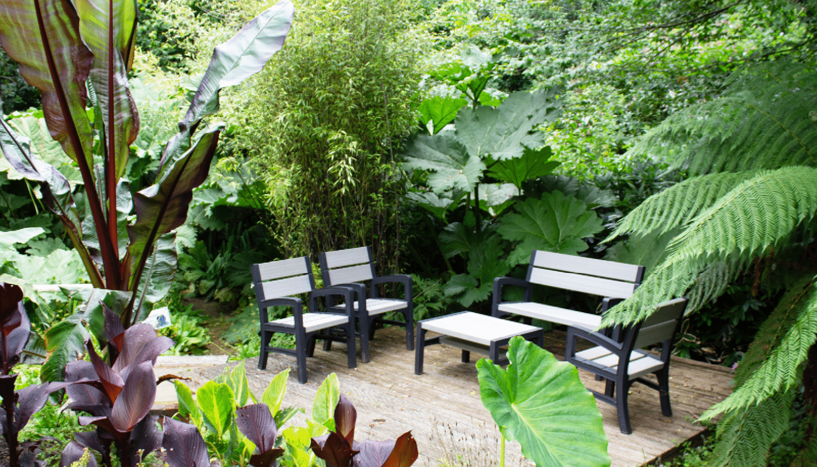 Open Gardens, Phyllis Tuckwell Hospice Care, Fundraising, charity, whats on, gardens, garden advice, house and garden, inspiration, giving, move to surrey