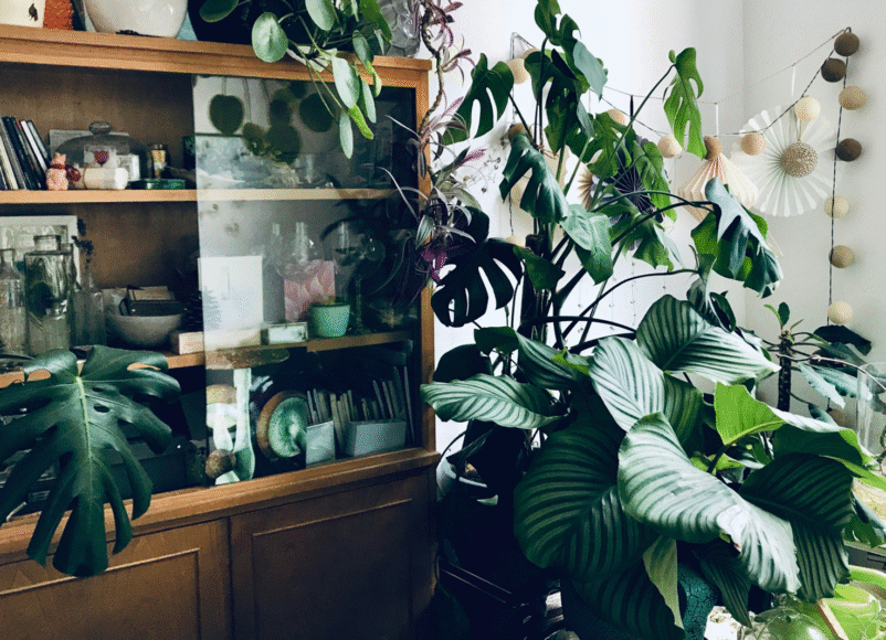 too much furniture, home, clutter, mess, stuffocation, house and gaden, home and garden, home improvement,s home hacks, DIY, home and interiors, homeowner, interior style, home and interiors, move to surrey, move house, move home, move to residential, move to london, move to south west london, move to the south downs, move to the surrey hills, residential