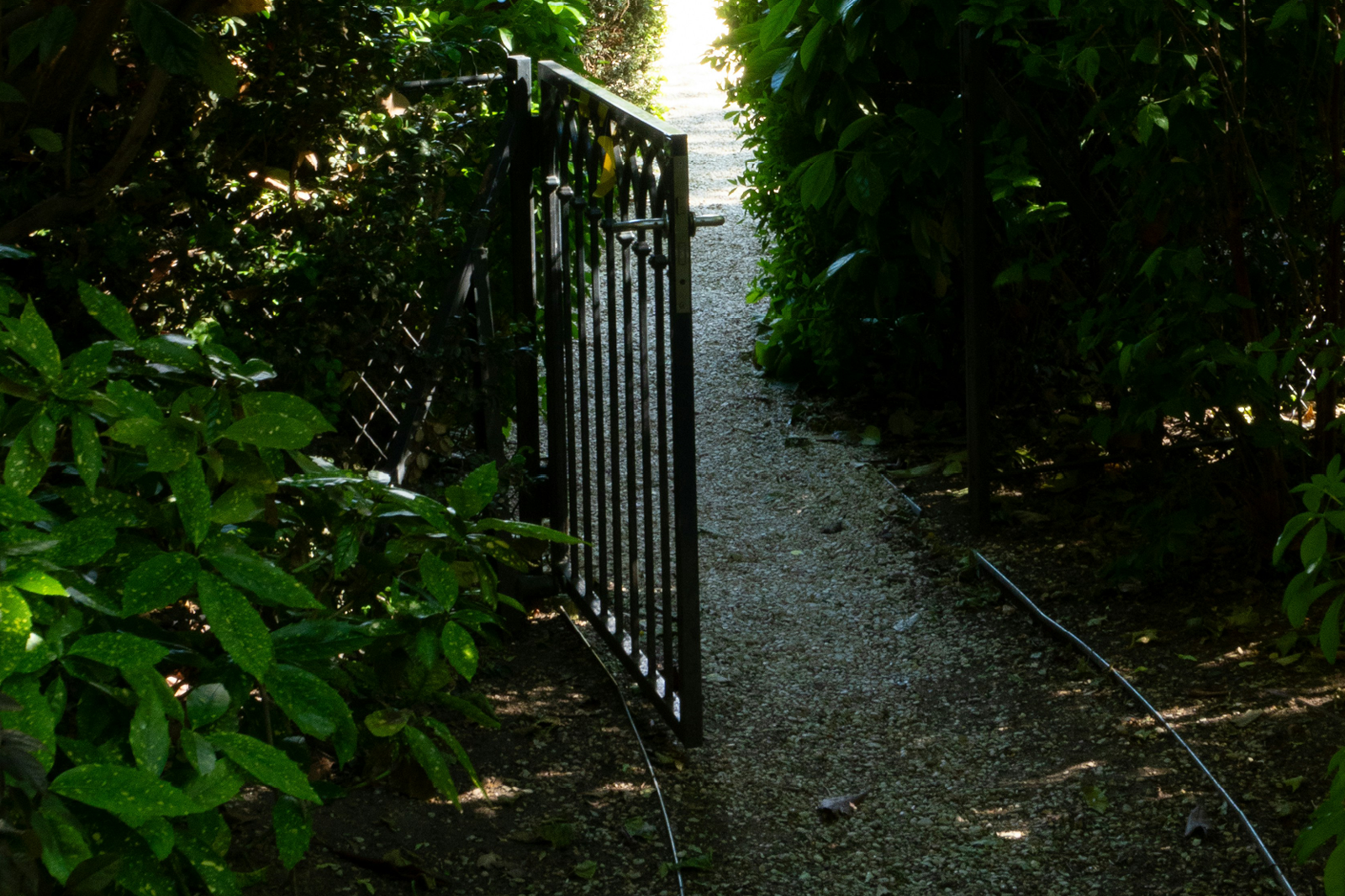 garden, shade, creative ways to create shade, house and garden, home hacks, DIY, home improvements, homeowner, house and property, moving house, move house, move to Surrey, move to sussex, move to london, resident advice, lifsetyle,