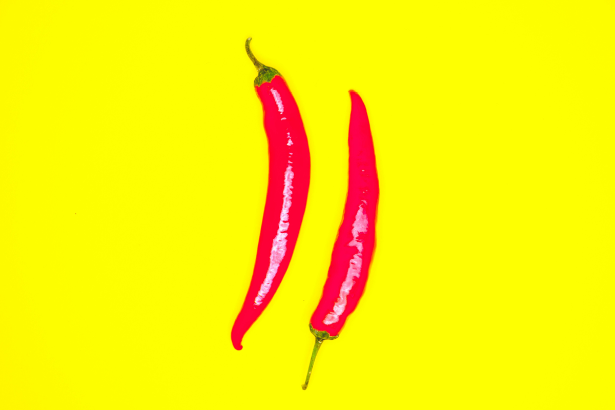 cheese and chilli festival, guildford, surrey, whats oin, guide to whats on, food and drink, food and drink surrey, surrey hills, south downs, food stuff, things to do this july, july 2025