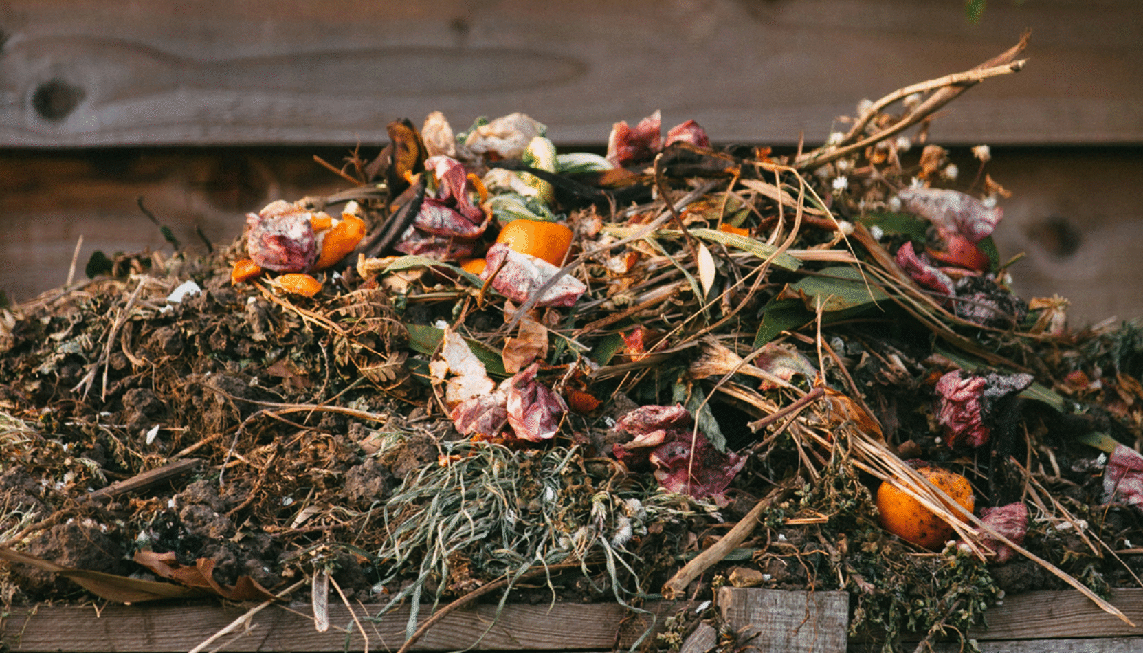 compost, create your own compost, gardening, eco-friendly, house and garden, homeowner, eco-conscious, home and garden, home improvements, DIY, home hacks, move house, move to surrey, move to london, move to residential, residential advice, garden advice, gardening advice, visit surrey, move to surrey