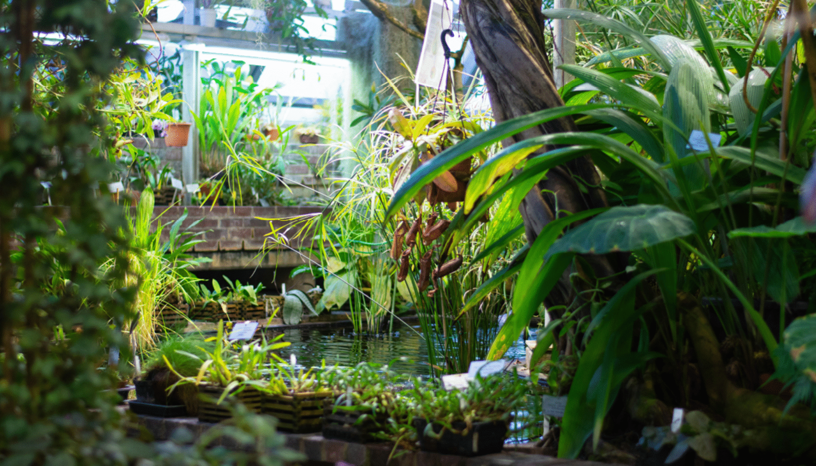 tranquil garden, water feature, house and garden, home and garden, property advice, garden advice, resident advice, residential advice, move to residential, guide to residential, guide to property and lifestyle, whats on, things to do at home, home improvements,