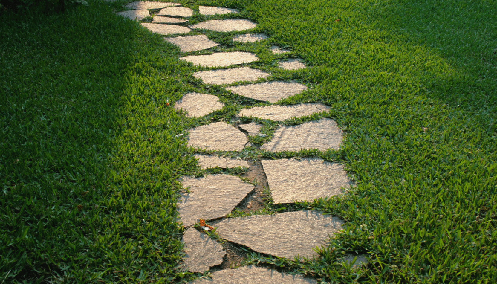 garden pathway, paving stone, house and garden, home and garden, homeowner, garden design, resident advisor, resident advice, home improvements, what to do this weekend, move to residential, residential advice, lifestyle,