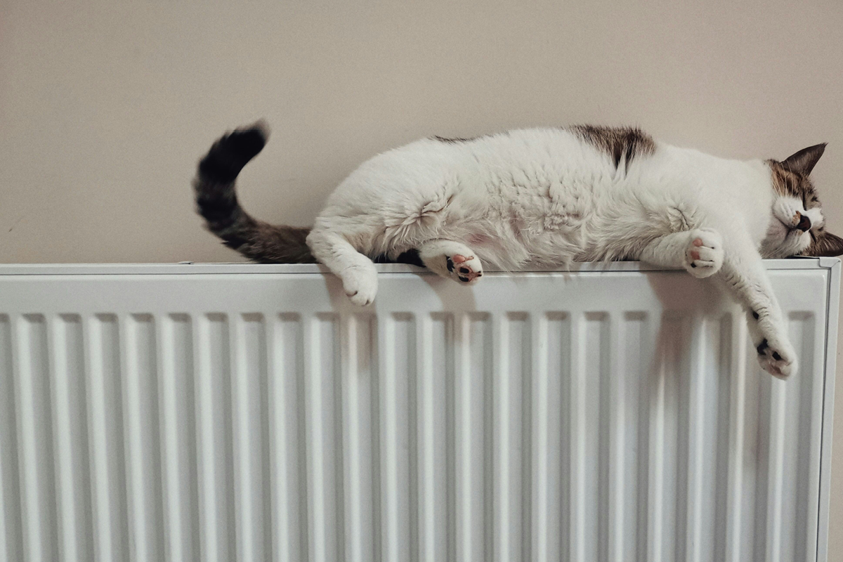 radiator, heating, central heating, UK, when should you pur your heating on, autumn, house and garden, home and garden, property, home and property, home and living, property and lifestyle, homeowner, property owner, property maintenance tips, cleaning your roof, move to surrey, move to residential, move to london, move to west sussex, move to berkshire, residential advice, property advice, guildford, woking, elmbridge, twickenham, richmond, ealing, acton, guide to surrey, move to surrey, move to publications, move to residential publications, surrey, south west london, south downs, berkshire, ascot, sunninghill, DIY, home hacks, home improvements, renovate, home renovation, visit surrey,