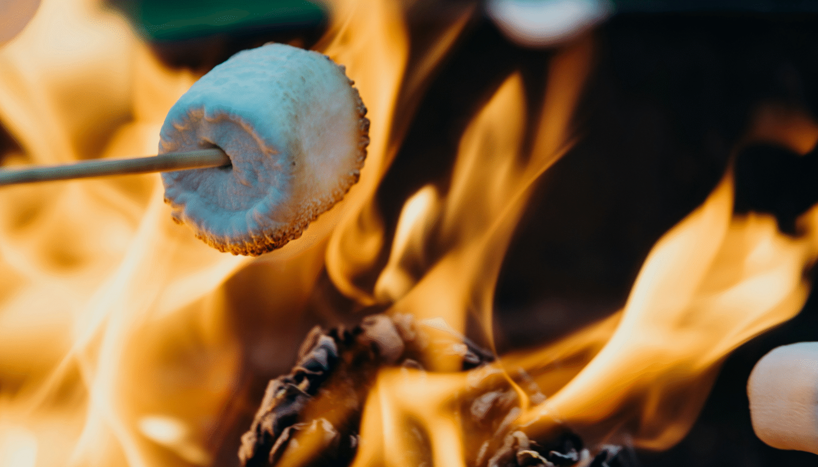 food and drink marshmallows, food and dfire fair, surrey hills., guide to surrey, guide to whats on in surrey, visit surrey, thinsg to do in surret, october 2025, guide to guildford, visit guildford,