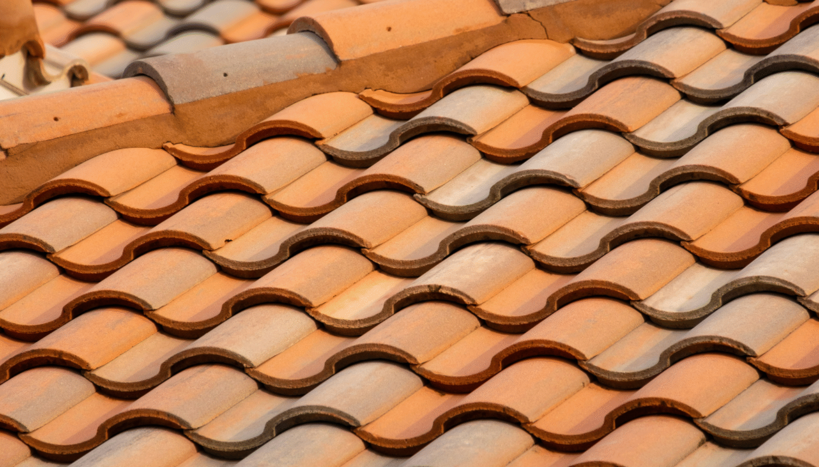 roof, roof tiles, how to make your roof last longer, roof last longer, tips to make your roof last longer, house and garden, home and garden, property, home and property, home and living, property and lifestyle, homeowner, property owner, property maintenance tips, cleaning your roof, move to surrey, move to residential, move to london, move to west sussex, move to berkshire, residential advice, property advice, guildford, woking, elmbridge, twickenham, richmond, ealing, acton, guide to surrey, move to surrey, move to publications, move to residential publications, surrey, south west london, south downs, berkshire, ascot, sunninghill, DIY, home hacks, home improvements, renovate, home renovation, visit surrey,