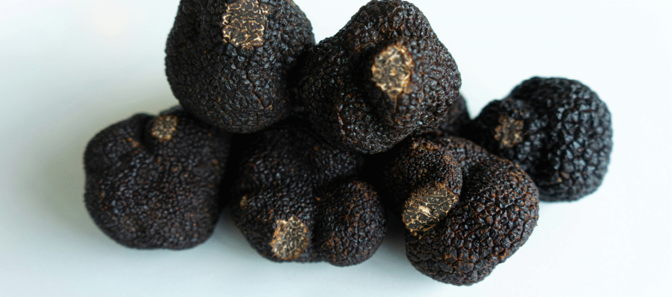 truffles, uk truffle festival, hickstead, west sussex, food and drink festival, mushroom festival, truffle festival, truffle dog championships, black truffle, UK, delicacy, november 2025, surrey, sussex, guide to surrey, guide to food and drink events, guidfe to whats on, move to sussex, move to surrey,