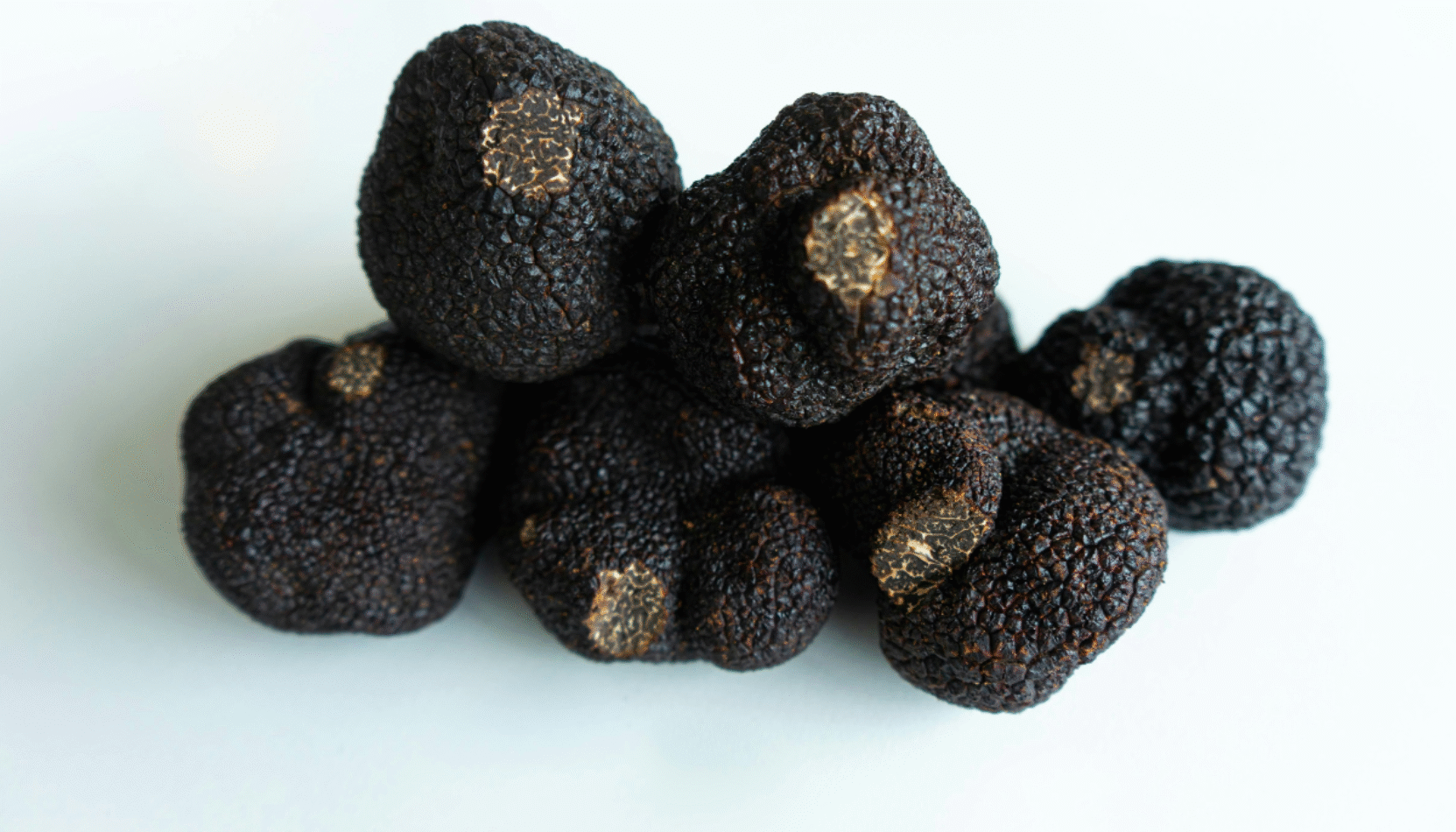 truffles, uk truffle festival, hickstead, west sussex, food and drink festival, mushroom festival, truffle festival, truffle dog championships, black truffle, UK, delicacy, november 2025, surrey, sussex, guide to surrey, guide to food and drink events, guidfe to whats on, move to sussex, move to surrey,