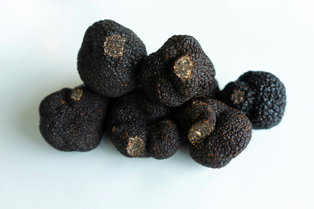 truffles, uk truffle festival, hickstead, west sussex, food and drink festival, mushroom festival, truffle festival, truffle dog championships, black truffle, UK, delicacy, november 2025, surrey, sussex, guide to surrey, guide to food and drink events, guidfe to whats on, move to sussex, move to surrey,