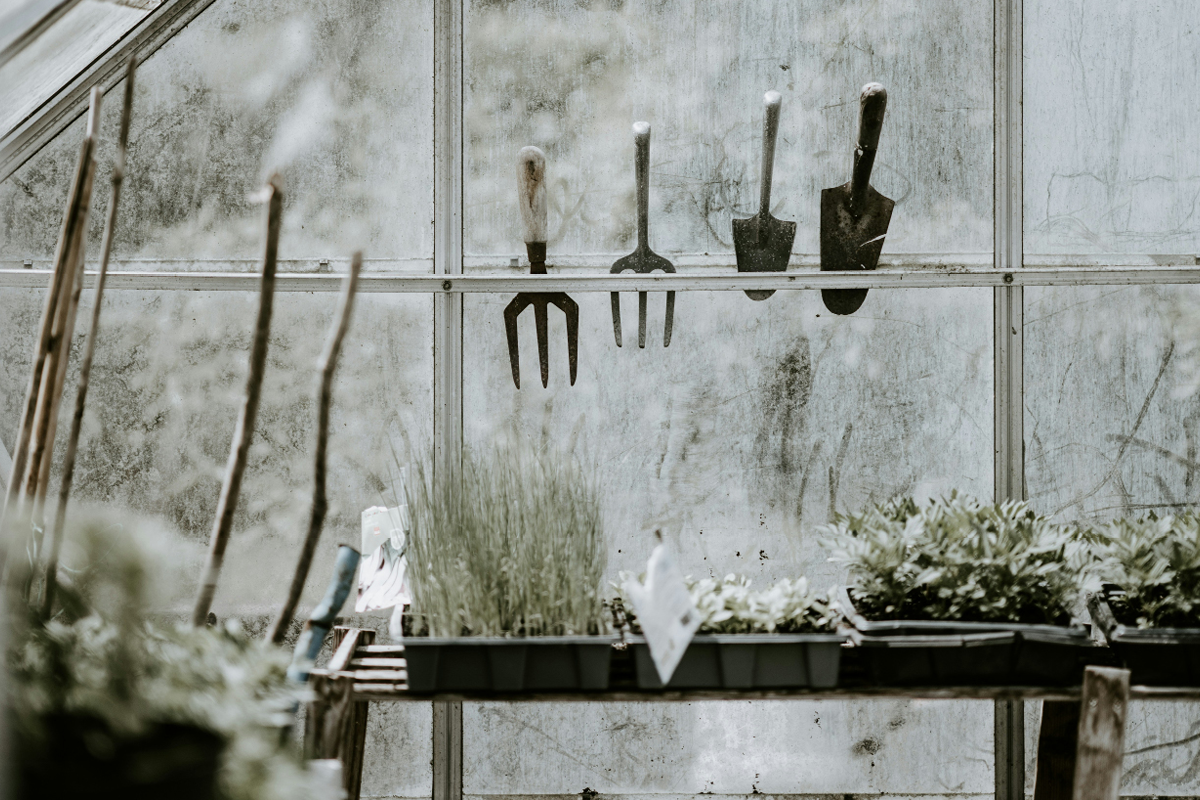 winteris your green house, frost, freezing, winter, house and garden, home and garden, property, home and property, home and living, property and lifestyle, homeowner, property owner, property maintenance tips, cleaning your roof, move to surrey, move to residential, move to london, move to west sussex, move to berkshire, residential advice, property advice, guildford, woking, elmbridge, twickenham, richmond, ealing, acton, guide to surrey, move to surrey, move to publications, move to residential publications, surrey, south west london, south downs, berkshire, ascot, sunninghill, DIY, home hacks, home improvements, renovate, home renovation, visit surrey,