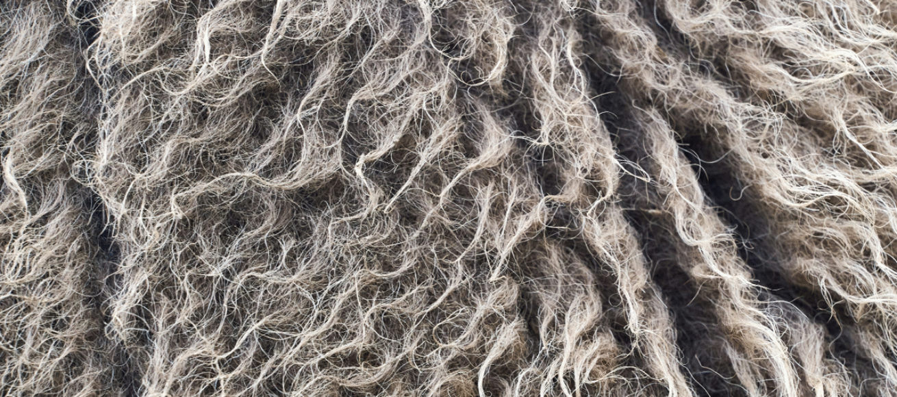 make your living room feel warmer, living room, cosy, winter, house and garden, home and garden, property, home and property, home and living, property and lifestyle, homeowner, property owner, property maintenance tips, cleaning your roof, move to surrey, move to residential, move to london, move to west sussex, move to berkshire, residential advice, property advice, guildford, woking, elmbridge, twickenham, richmond, ealing, acton, guide to surrey, move to surrey, move to publications, move to residential publications, surrey, south west london, south downs, berkshire, ascot, sunninghill, DIY, home hacks, home improvements, renovate, home renovation, visit surrey,