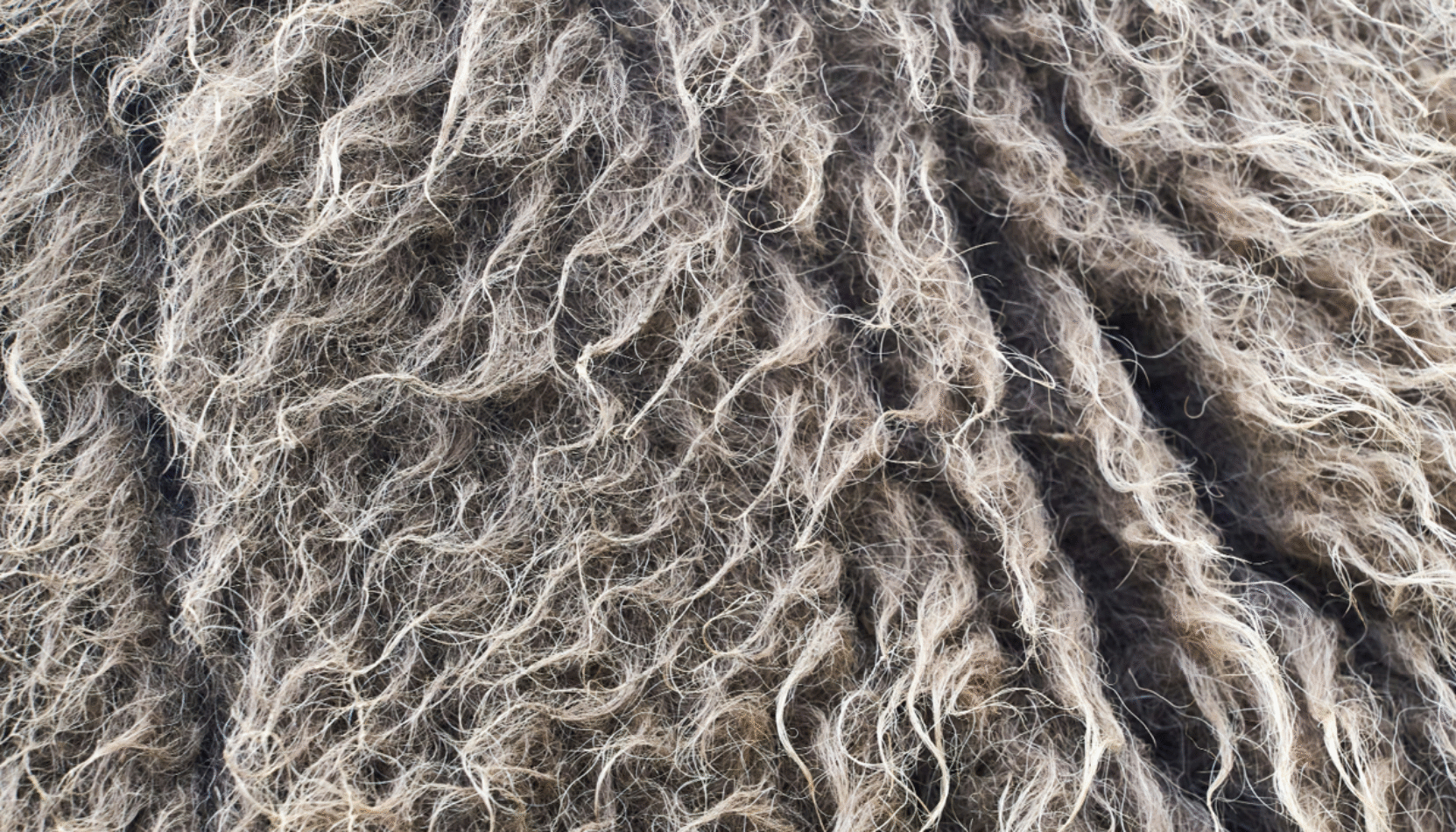 make your living room feel warmer, living room, cosy, winter, house and garden, home and garden, property, home and property, home and living, property and lifestyle, homeowner, property owner, property maintenance tips, cleaning your roof, move to surrey, move to residential, move to london, move to west sussex, move to berkshire, residential advice, property advice, guildford, woking, elmbridge, twickenham, richmond, ealing, acton, guide to surrey, move to surrey, move to publications, move to residential publications, surrey, south west london, south downs, berkshire, ascot, sunninghill, DIY, home hacks, home improvements, renovate, home renovation, visit surrey,