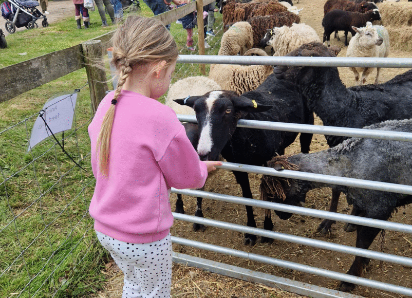 Merrist Wood Events, Spring Lambing Farm Open Days, March 2026, Family, Events, GuideTo Whats On, Guide To Surrey, Guide To Whats On, Guide to family days out this spring, spring 202