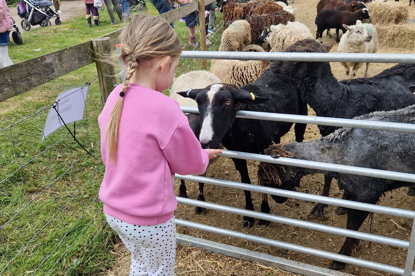 Merrist Wood Events, Spring Lambing Farm Open Days, March 2026, Family, Events, GuideTo Whats On, Guide To Surrey, Guide To Whats On, Guide to family days out this spring, spring 202