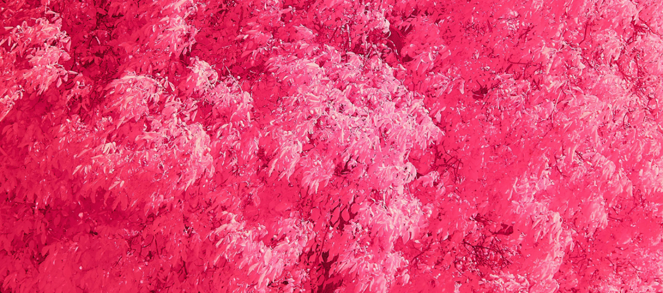 well-good wellbeing, cover photo, editorial, calm tree, meditatio, qigong, sound bath, moon circle, mindfulness, wellbeing, self care, surrey, guildford, woking, esher, cobham, whats on, guide to whats on, guide to wellbeing, visit surrey