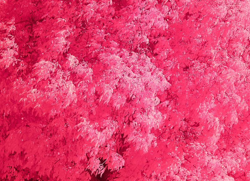 well-good wellbeing, cover photo, editorial, calm tree, meditatio, qigong, sound bath, moon circle, mindfulness, wellbeing, self care, surrey, guildford, woking, esher, cobham, whats on, guide to whats on, guide to wellbeing, visit surrey