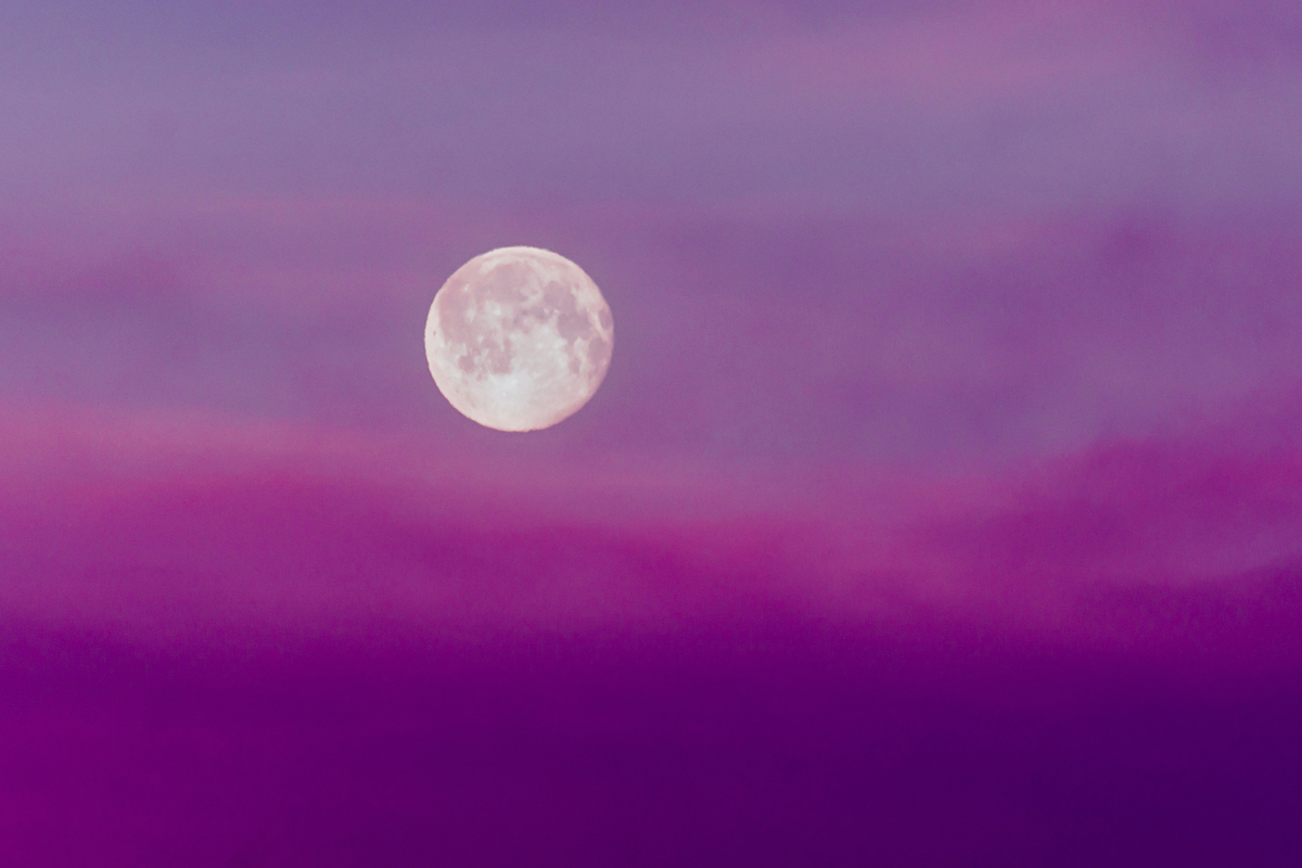 well-good wellbeing, wellbeing, self-care in surrey, yoga, mediatation, mindfulness, full moon circle, sound bath, forest bathing, wellbeing experiences in surrey, guide to surrey, move to surrey, february 2026, events, whats on, guide to whats on,