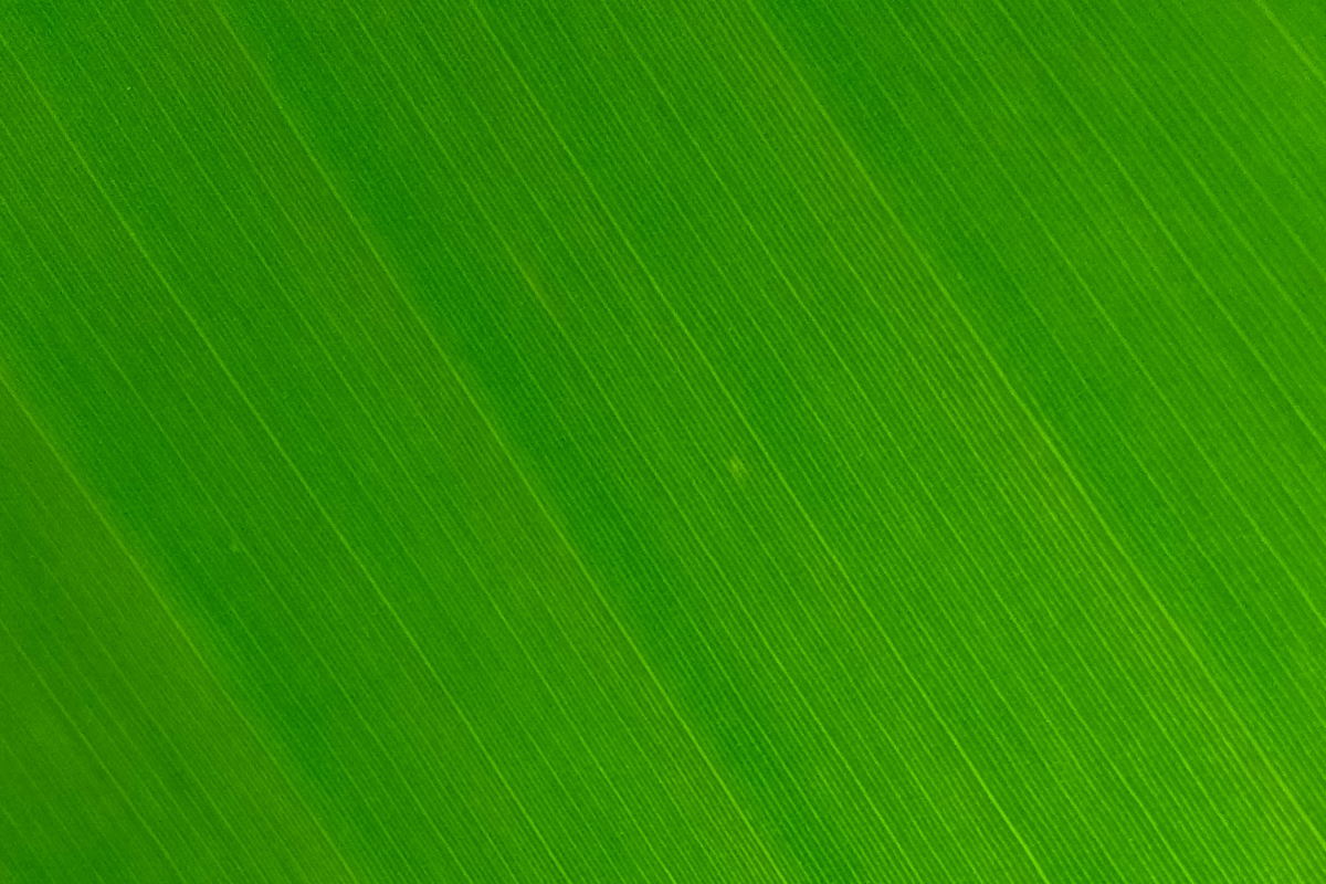 keep it green feature, eco friendly, sustainability, sustainability in surrey, whats on, guide to surrey, beehive making workshop, climate change, carbon conscious guildford, woking, rhs wisley, knepp estate, april 2026