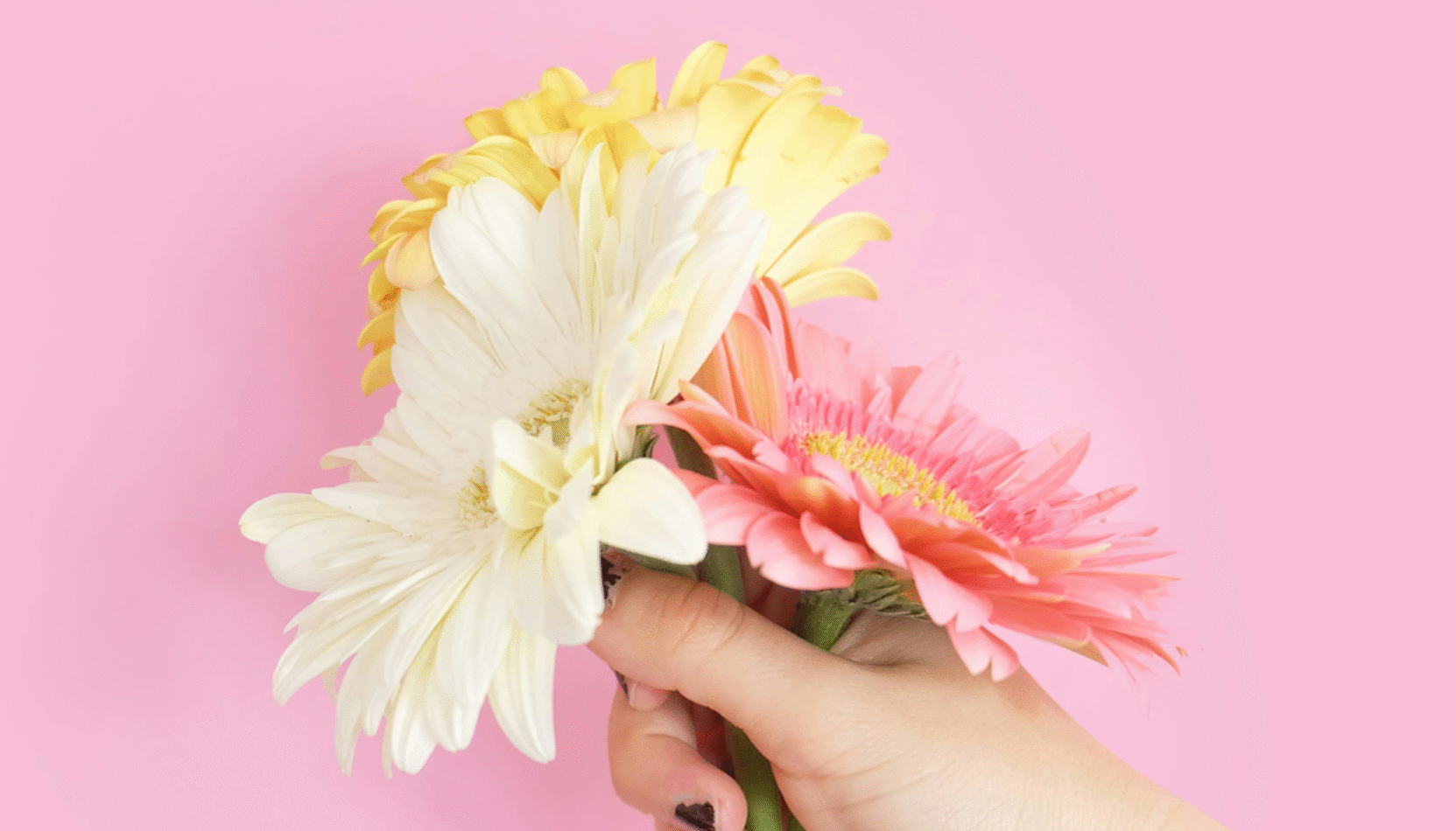 mother's day, mothering sunday, surrey, guildford, dorking, surrey hills, afternoon tea, mothers day afternoon tea, sparkling afternoon tea, mothers day massage, mother day candlemaking, natural light surrey, new house gallery, guildford, whats on, guide to mothering sunday in surrey, guide to mother's day, guide to whats on, mothering sunday events in surrey, visit surrey,