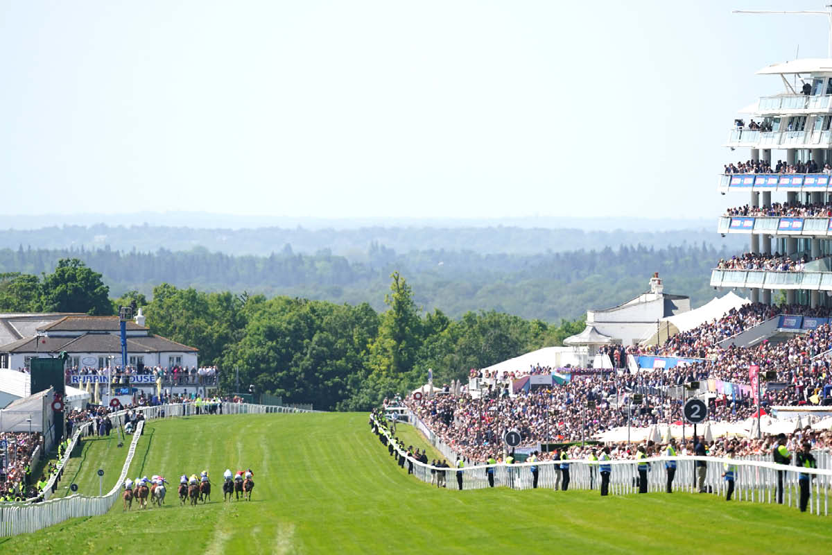 epsom downs betfred derby festival, horse racing, june 2026, surrey, surrey hills, north downs, sports in surrey this june, sports fixture and events this June, Sports in Surrey this June, guide to sports in surrey this june, whats on in surrey this june, guide to surrey, visit surrey,