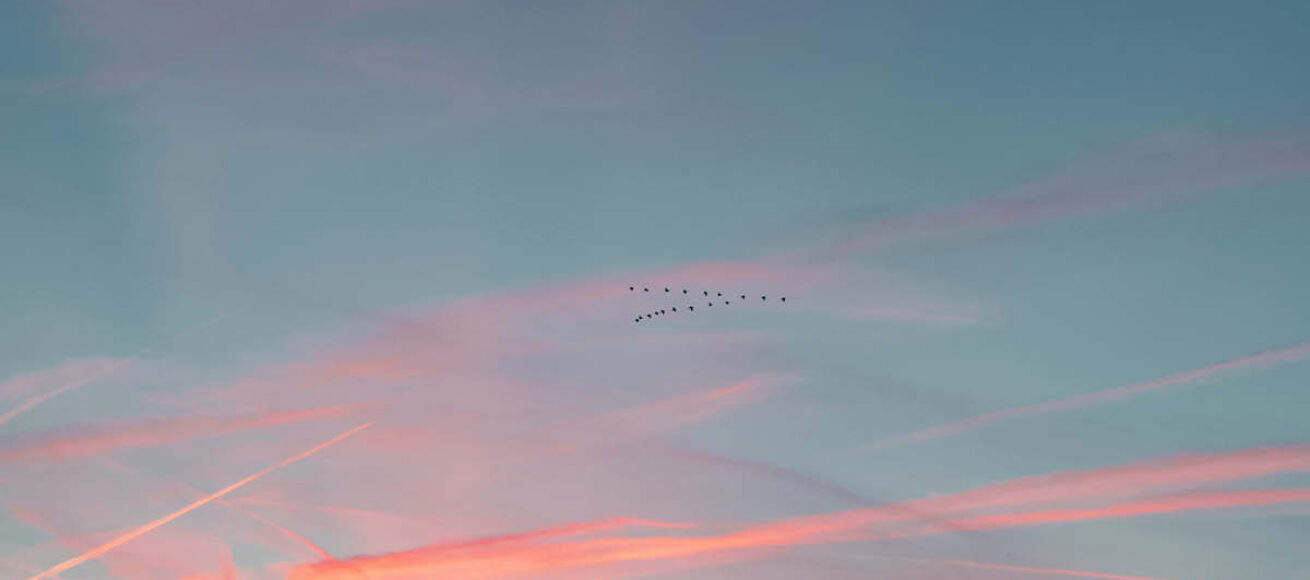welbeing, surrey wellbeing, yoga, mindfulness, meditating, forest bathing, mindfulness retreat, sounds bath, floating sound bath, whats on guide to whats on, whats on in surrey, guide to surrey, visit surrey, wellbeing in surrey, guide to wellbeing in surrey, june 2026,