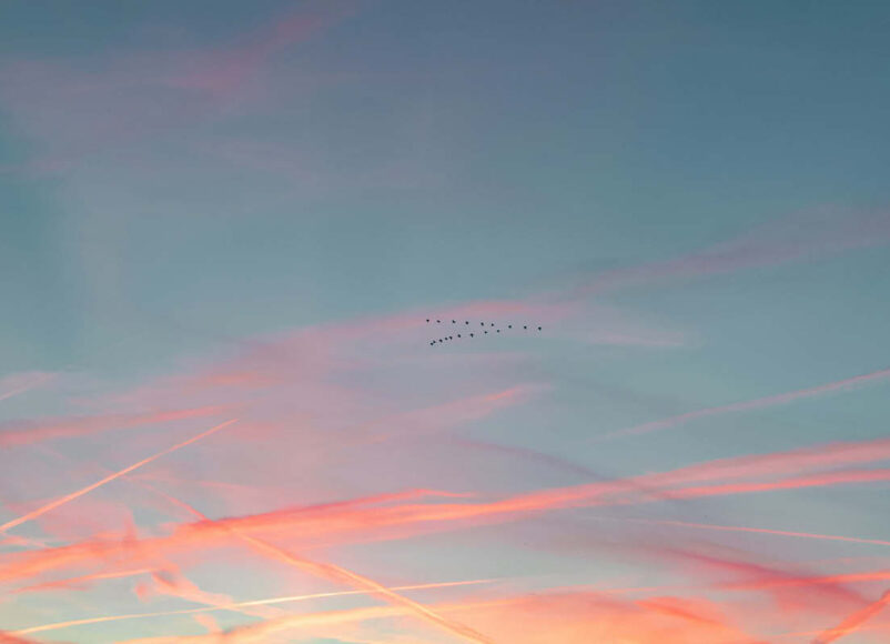 welbeing, surrey wellbeing, yoga, mindfulness, meditating, forest bathing, mindfulness retreat, sounds bath, floating sound bath, whats on guide to whats on, whats on in surrey, guide to surrey, visit surrey, wellbeing in surrey, guide to wellbeing in surrey, june 2026,