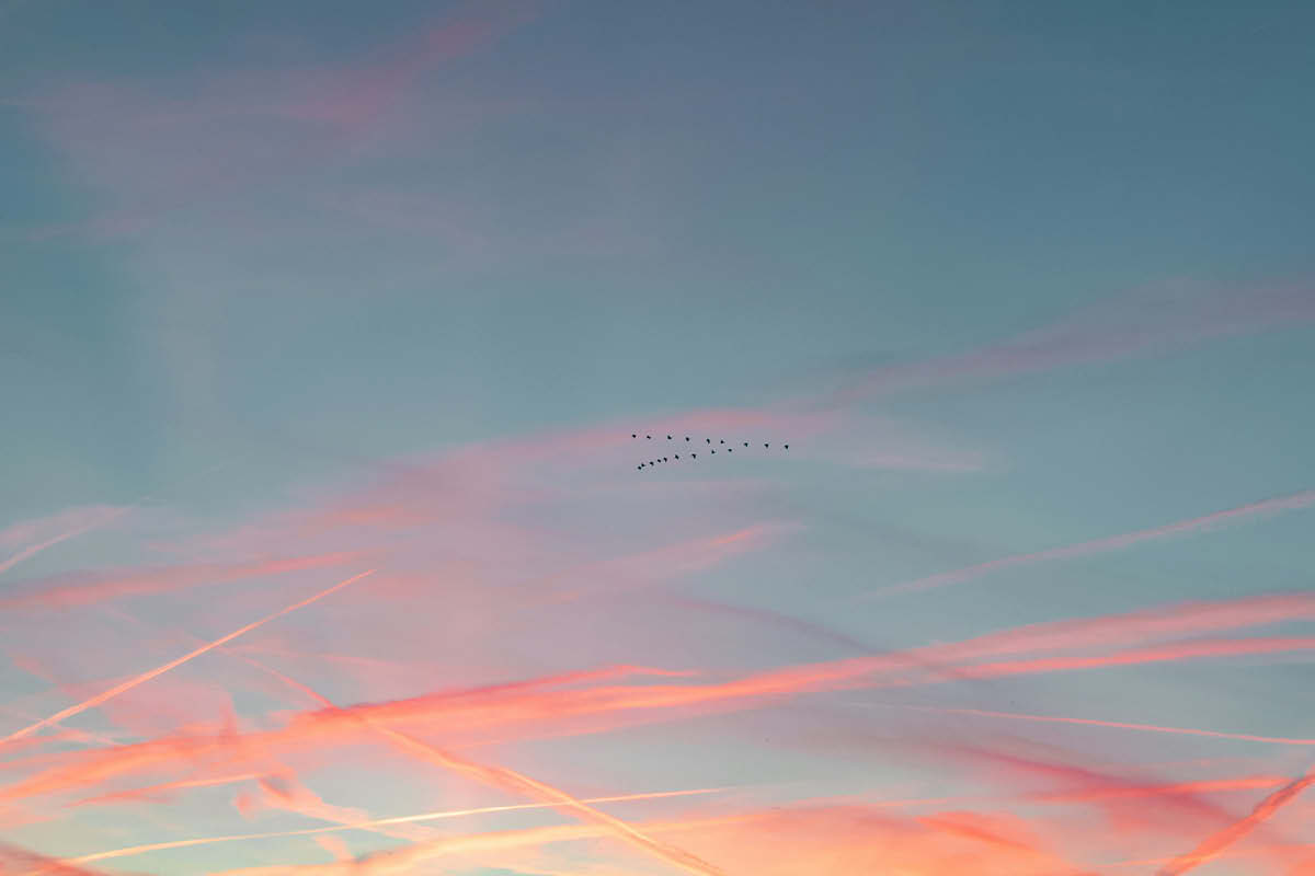 welbeing, surrey wellbeing, yoga, mindfulness, meditating, forest bathing, mindfulness retreat, sounds bath, floating sound bath, whats on guide to whats on, whats on in surrey, guide to surrey, visit surrey, wellbeing in surrey, guide to wellbeing in surrey, june 2026,