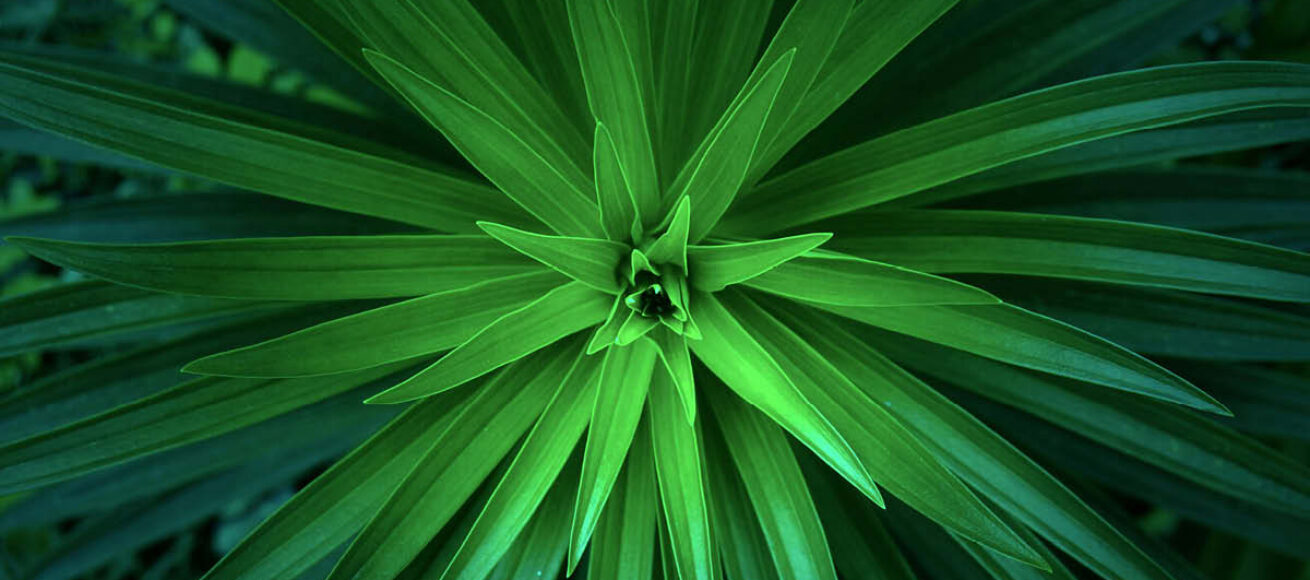 keep it green, eco friendly events in surrey, surrey, events in surrey this july, whats on in surrey, guide to whats on iun surrey, visit surrey, visit surrey this july, rewilding, upcycyling, zero carbon, surrey, guide to surrey, july 2026