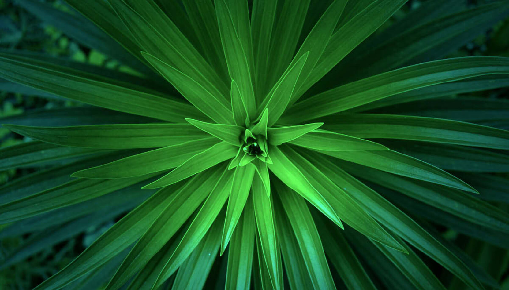 keep it green, eco friendly events in surrey, surrey, events in surrey this july, whats on in surrey, guide to whats on iun surrey, visit surrey, visit surrey this july, rewilding, upcycyling, zero carbon, surrey, guide to surrey, july 2026