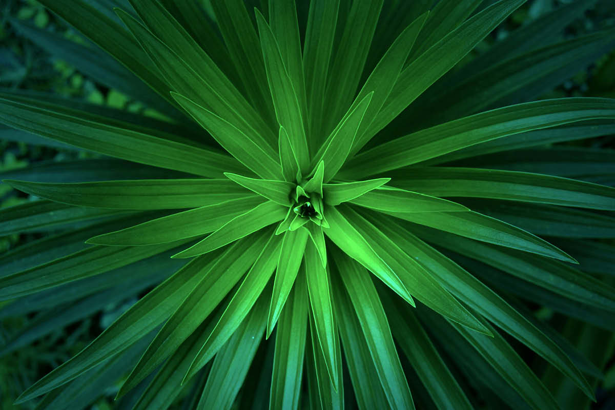 keep it green, eco friendly events in surrey, surrey, events in surrey this july, whats on in surrey, guide to whats on iun surrey, visit surrey, visit surrey this july, rewilding, upcycyling, zero carbon, surrey, guide to surrey, july 2026