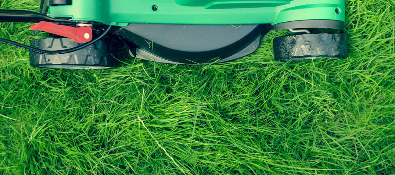 lawnmower, library of things, surrey, surrey news, guildford, cranleigh, woking, borrow tools, tools, domestic appliances, guide to surrey, guide to whats on, guide to libraries in surrey, move to surrey,