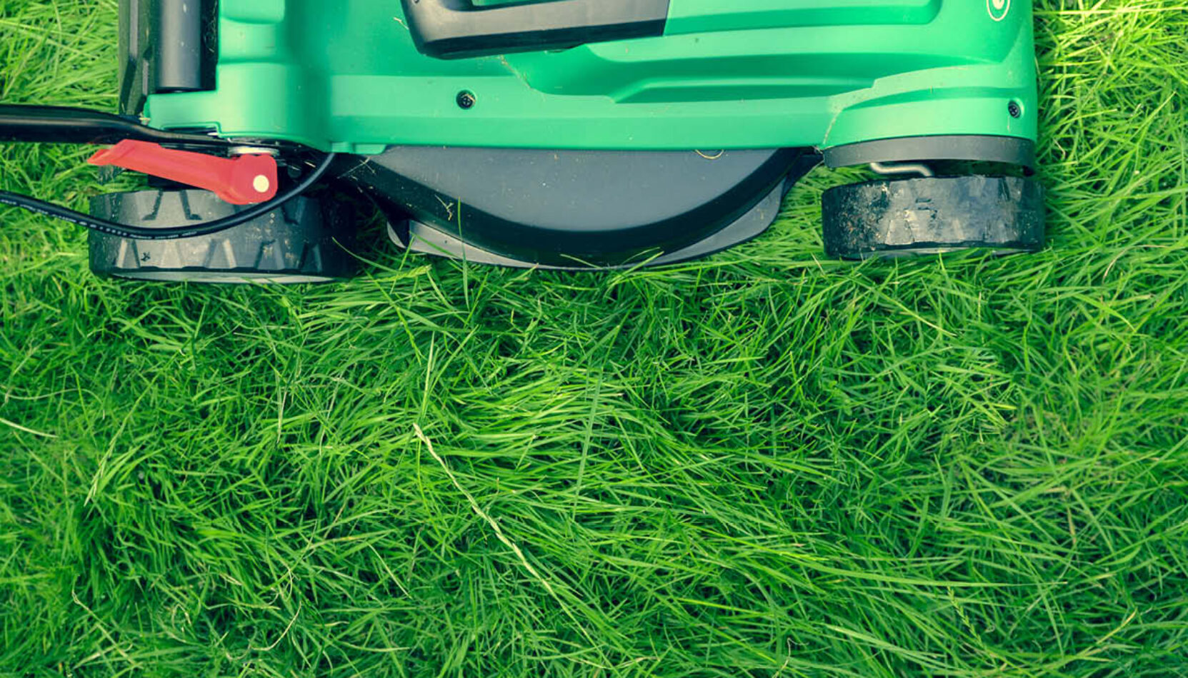 lawnmower, library of things, surrey, surrey news, guildford, cranleigh, woking, borrow tools, tools, domestic appliances, guide to surrey, guide to whats on, guide to libraries in surrey, move to surrey,