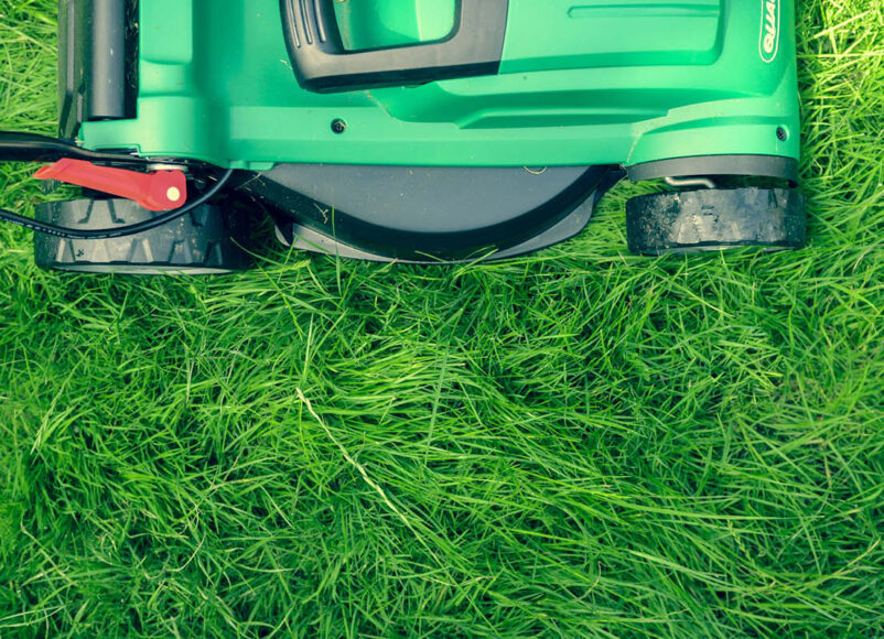 lawnmower, library of things, surrey, surrey news, guildford, cranleigh, woking, borrow tools, tools, domestic appliances, guide to surrey, guide to whats on, guide to libraries in surrey, move to surrey,