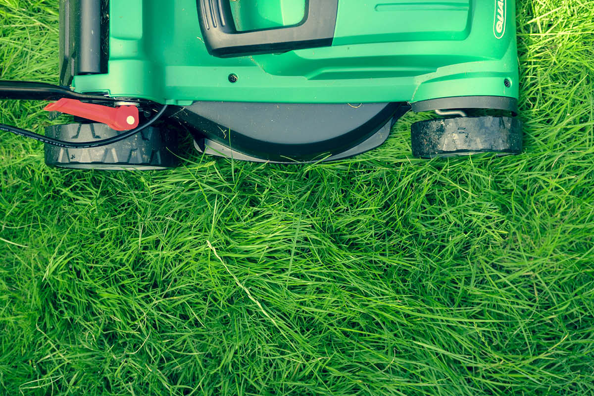 lawnmower, library of things, surrey, surrey news, guildford, cranleigh, woking, borrow tools, tools, domestic appliances, guide to surrey, guide to whats on, guide to libraries in surrey, move to surrey,