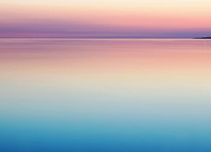 wellbeing events in surrey, wellbeing, mindfulness in surrey, meditation in surrey, forest bathing in surrey, guide to surrey, guide to whats on,. wellbneing events, wellbeing workshops in surrey this summer,