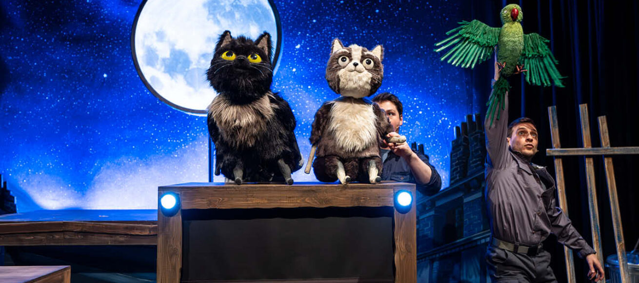 TOto the ninja cat, dermot o'leary, yvonne arnaud theatre, guildford, surrey, kids theatre, kids book, childrens books, guide to surrey, guide to guildford, whats on, family events,