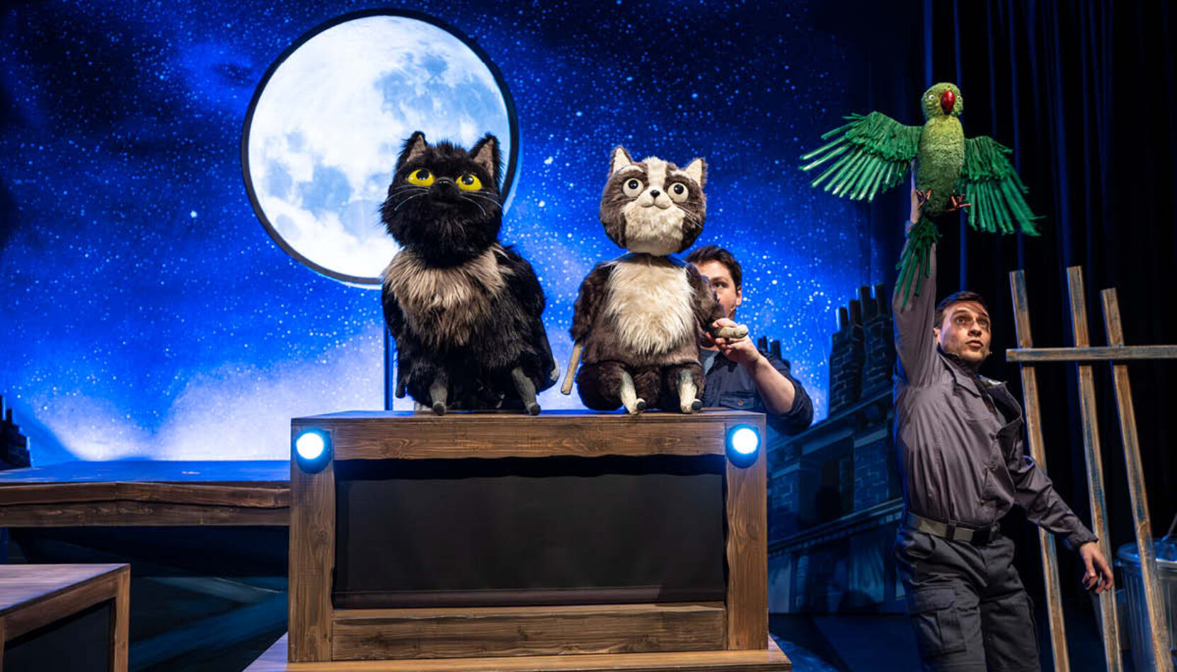 TOto the ninja cat, dermot o'leary, yvonne arnaud theatre, guildford, surrey, kids theatre, kids book, childrens books, guide to surrey, guide to guildford, whats on, family events,