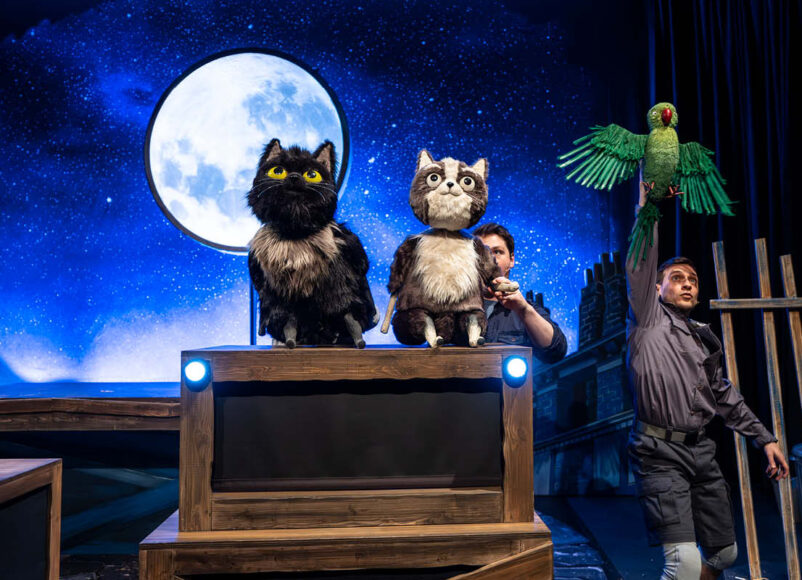 TOto the ninja cat, dermot o'leary, yvonne arnaud theatre, guildford, surrey, kids theatre, kids book, childrens books, guide to surrey, guide to guildford, whats on, family events,